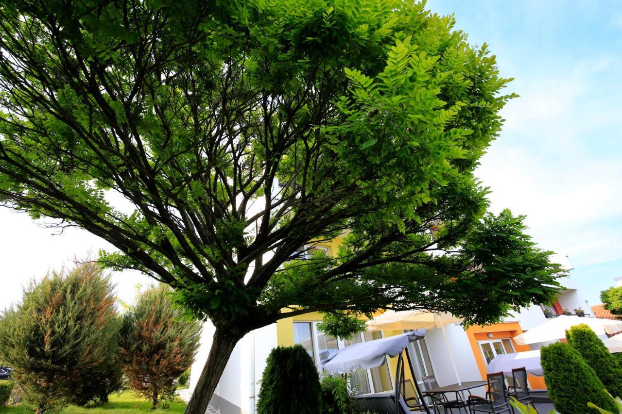 Stayinn Rainbow Houses Beachfront By Asteri Hotels Napospart Kültér fotó